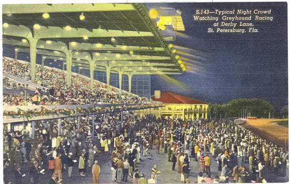 Typical Night Crowd Watching Greyhound Racing at Derby Lane, St. Petersburg, FL - Carey's Emporium