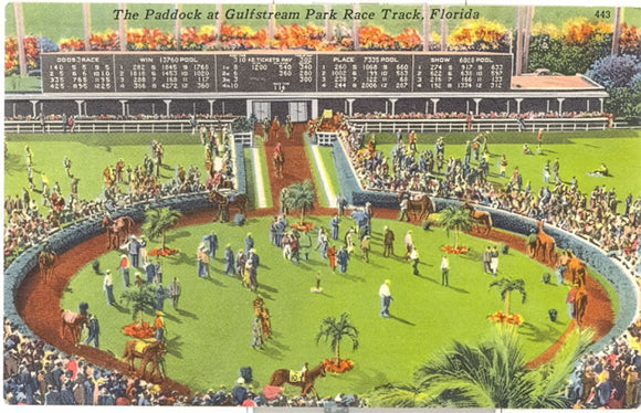 The Paddock at Gulfstream Park Race Track, Miami, FL - Carey's Emporium