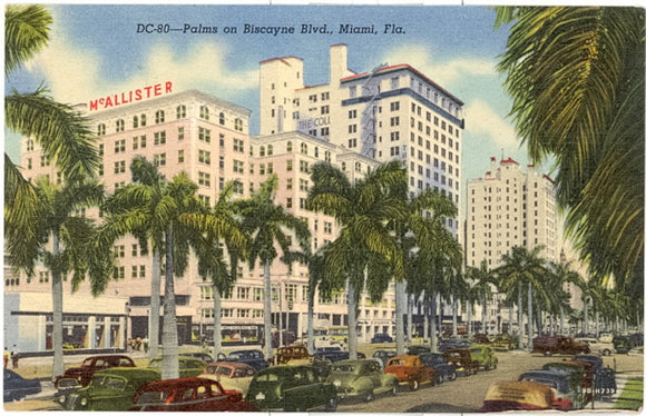Palms on Biscayne Blvd., Miami, FL - Carey's Emporium