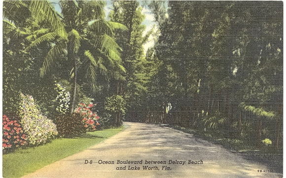 Ocean Boulevard between Delray Beachn and Lake Worth, FL - Carey's Emporium