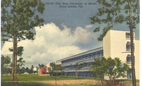 The New University of Miami, Coral Gables, FL - Carey's Emporium