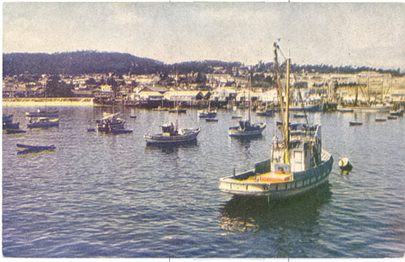 Fishing Fleet at Anchor, Monterey, CA - Carey's Emporium