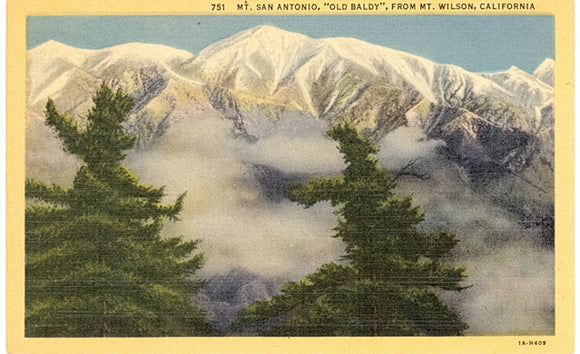 Old Baldy, Mt. San Antonio, CA - Carey's Emporium