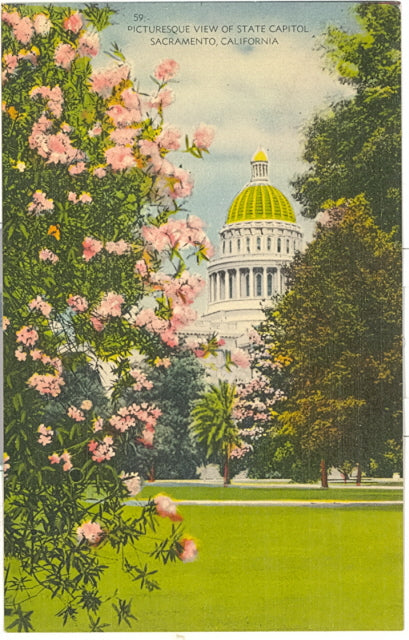 Picturesque View of State Capitol, Sacramento, CA - Carey's Emporium