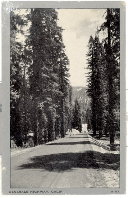 Generals Highway, California - Carey's Emporium