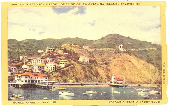 Picturesque Hilltop Homes of Santa Catalina Island, CA - Carey's Emporium