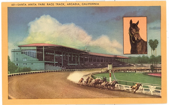 Santa Anita Park Race Track, Arcadia, CA - Carey's Emporium