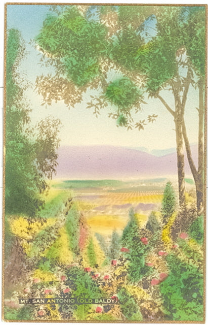 Old Baldy, Mt. San Antonio, CA - Carey's Emporium