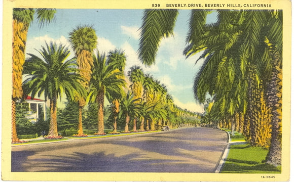 Beverly Drive, Beverly Hills, CA - Carey's Emporium