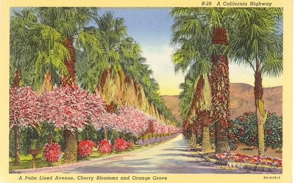 A California Highway, A Palm Lined Avenue, Cherry Blossoms and Orange Grove - Carey's Emporium