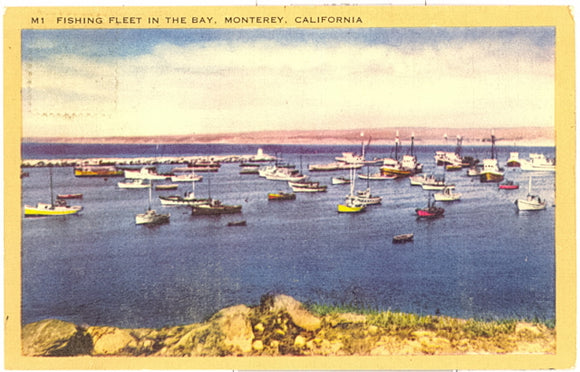 Fishing Fleet In The Bay, Monterey, CA - Carey's Emporium