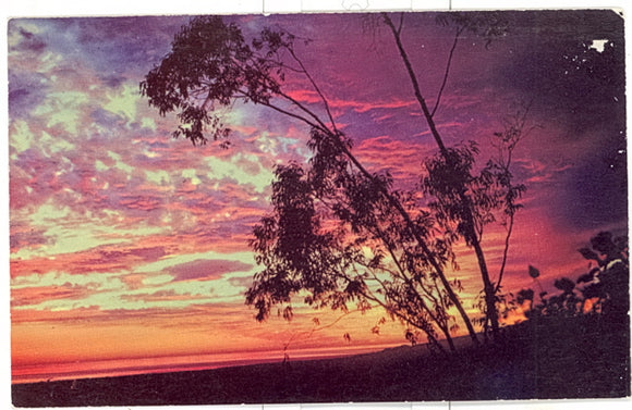 Hermosa Beach, CA - Carey's Emporium