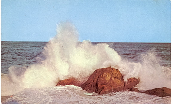 Hermosa Beach, CA - Carey's Emporium