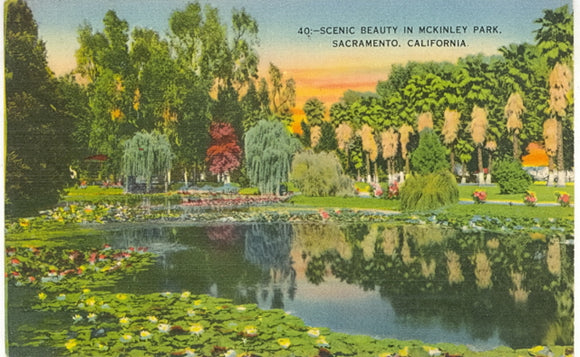 Scenic Beauty in McKinley Park, Sacramento, CA - Carey's Emporium