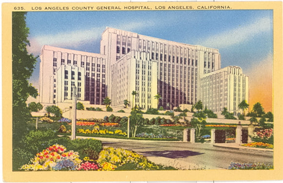 Los Angeles County General Hospital, Los Angeles, CA - Carey's Emporium