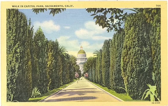 Walk in Capitol Park, Sacramento, CA - Carey's Emporium