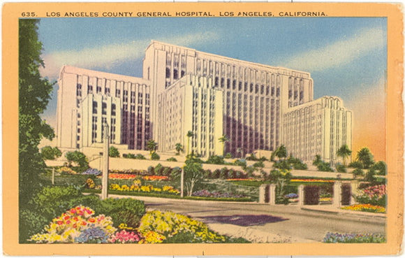 Los Angeles County General Hospital, Los Angeles, CA - Carey's Emporium