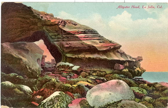 Alligator Head, La Jolla, CA - Carey's Emporium