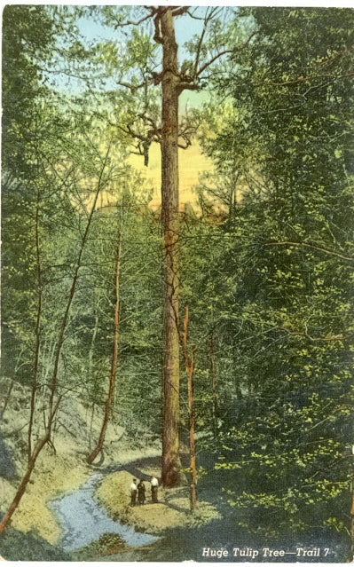 Turkey Run State Park, Marshall, IN - Carey's Emporium