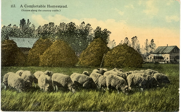 Comfortable Homestead, Brown City, MI - Carey's Emporium