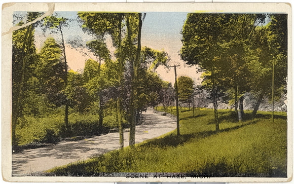 Scene at Hale, MI - Carey's Emporium