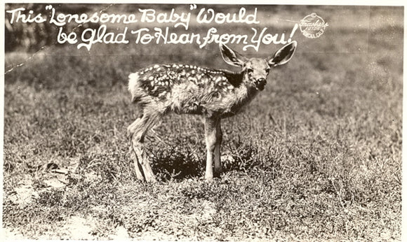 This Lonesome Baby Would be Glad to Hear from You! - Carey's Emporium