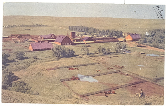 Wyoming Hereford Ranch, Cheyenne, WY - Carey's Emporium