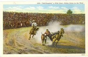 Bull-Dogging a Wild Steer, Rodeo Scene in the West - Carey's Emporium