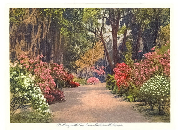 Bellingrath Gardens, Mobile, AL - Carey's Emporium