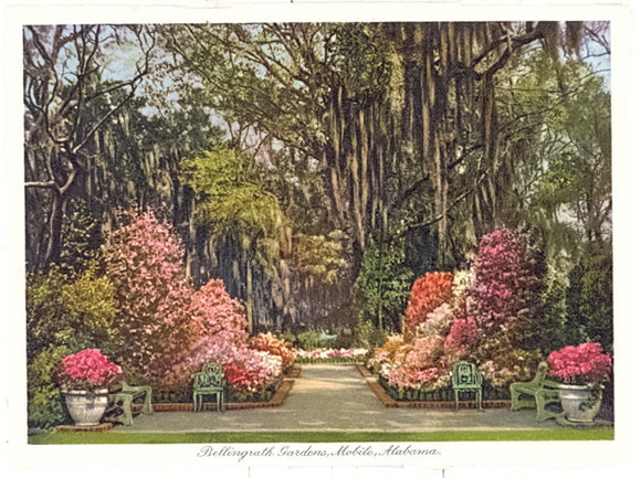 Bellingrath Gardens, Mobile, AL - Carey's Emporium