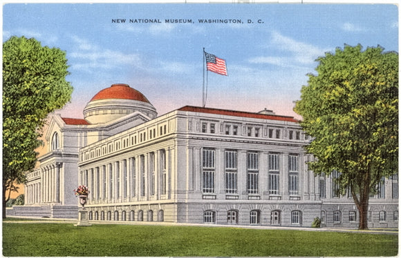 New National Museum, Washington, DC - Carey's Emporium