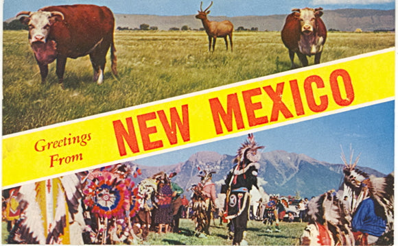 Greetings from New Mexico - Carey's Emporium
