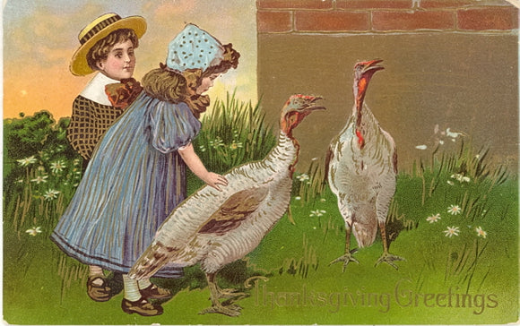 Thanksgiving Greetings - Carey's Emporium