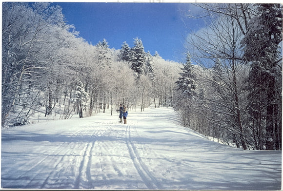Garnet Hill Lodge and Cross Country Ski Center, North River, NY - Carey's Emporium