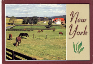 New York Horse Farm, NY - Carey's Emporium