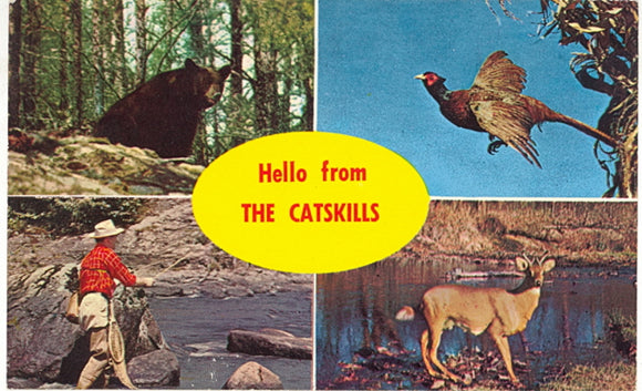 Hello from The Catskills, Tannersville, NY - Carey's Emporium