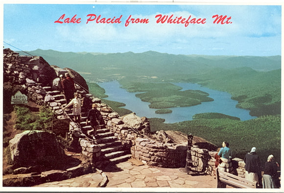 View From Whiteface Mt., Lake Placid, NY - Carey's Emporium