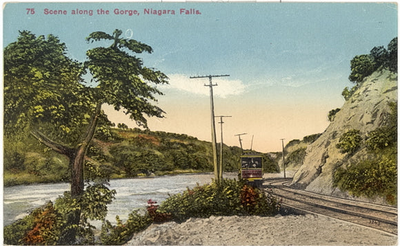Scene along the Gorge, Niagara Falls, NY - Carey's Emporium