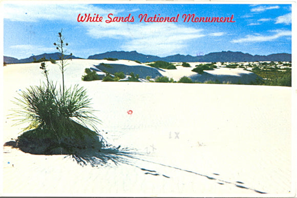 White Sands National Monument, NM - Carey's Emporium