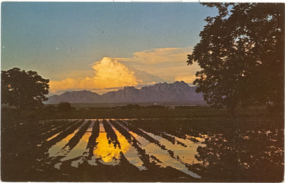 Sunset over the Organ Mountains, Las Cruces, NM - Carey's Emporium