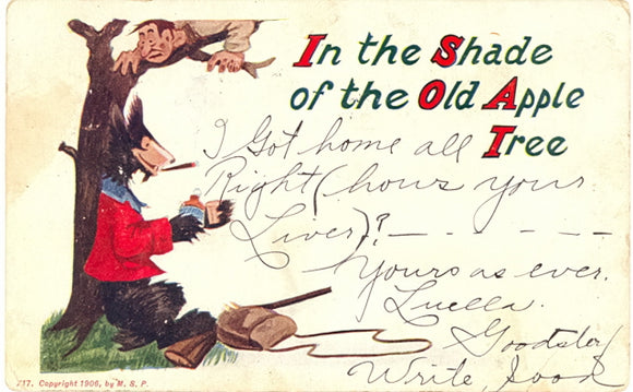 In the Shade of the Old Apple Tree - Carey's Emporium