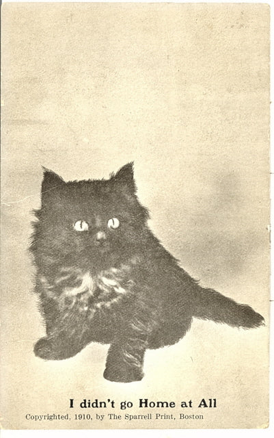 I Didn't Go Home at All - Carey's Emporium