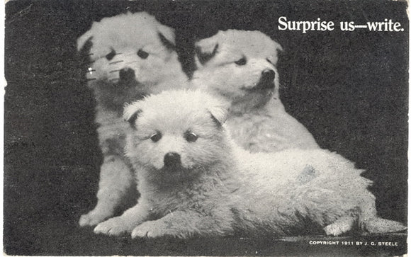 Surprise us, write - Carey's Emporium