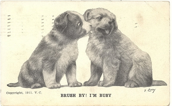 Brush By!  I'm Busy - Carey's Emporium