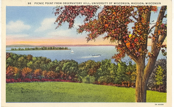 Picnic Point from Observatory Hill, University of Wisconsin, Madison, WI - Carey's Emporium