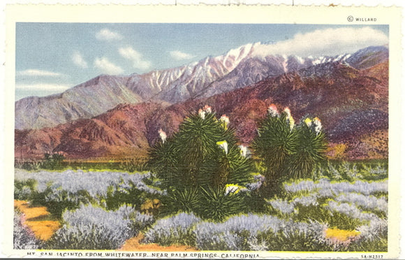 San Jacinto from Whitewater, near Palm Springs, CA - Carey's Emporium