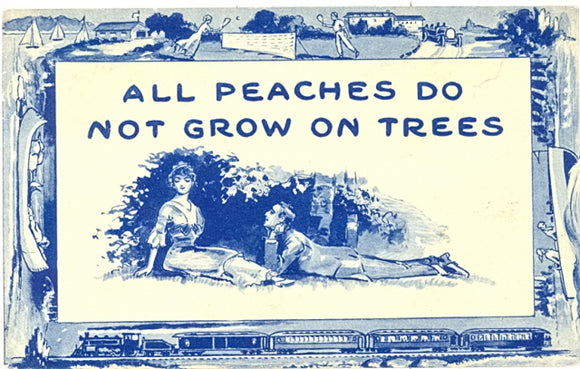 All Peaches Do Not Grow On Trees - Carey's Emporium