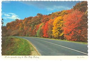 A Color Spectacular Along the Blue Ridge Parkway, NC - Carey's Emporium