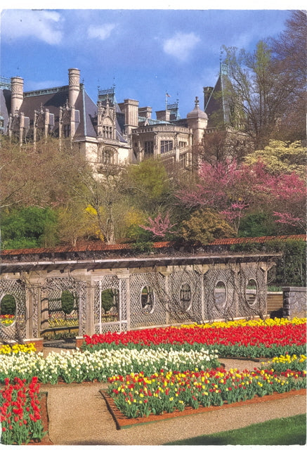 The Walled Garden at Biltmore Estate, Asheville, NC - Carey's Emporium