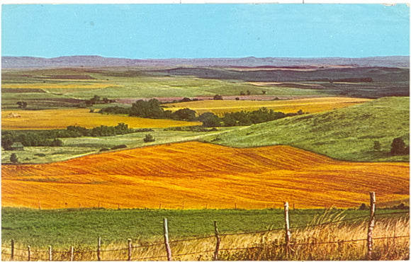 Central North Dakota Fields - Carey's Emporium